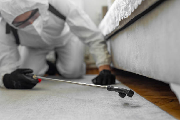 Professional Bed Bug Control technician working in Sheridan, AR