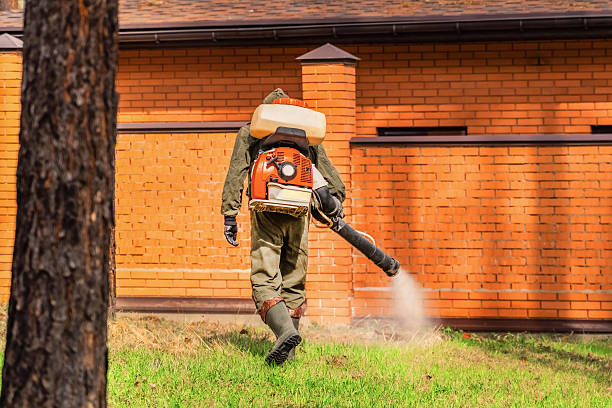 Trusted Emergency Pest Control service in Sheridan, AR - Nex Pest Control